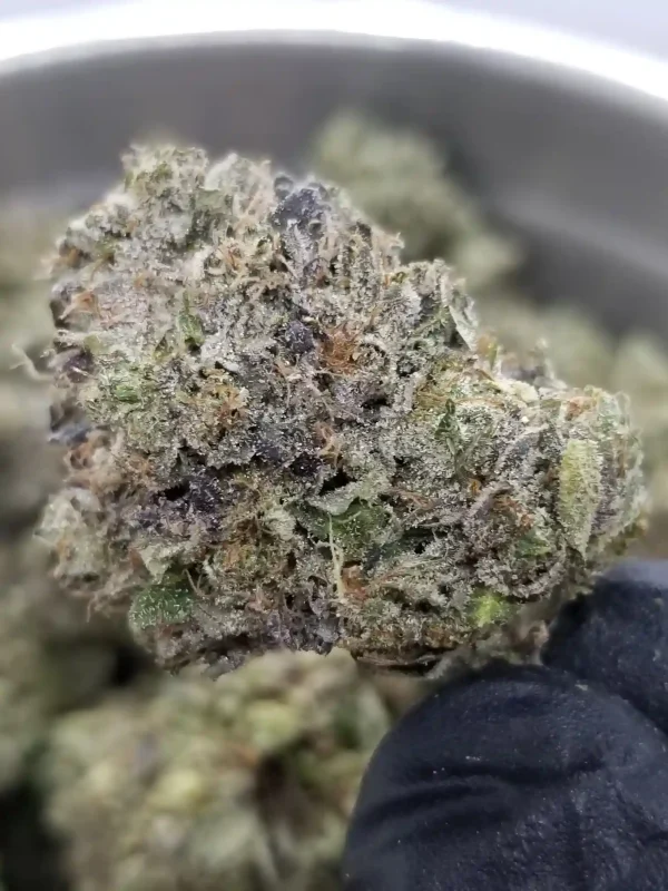 Tom Ford Pink cannabis