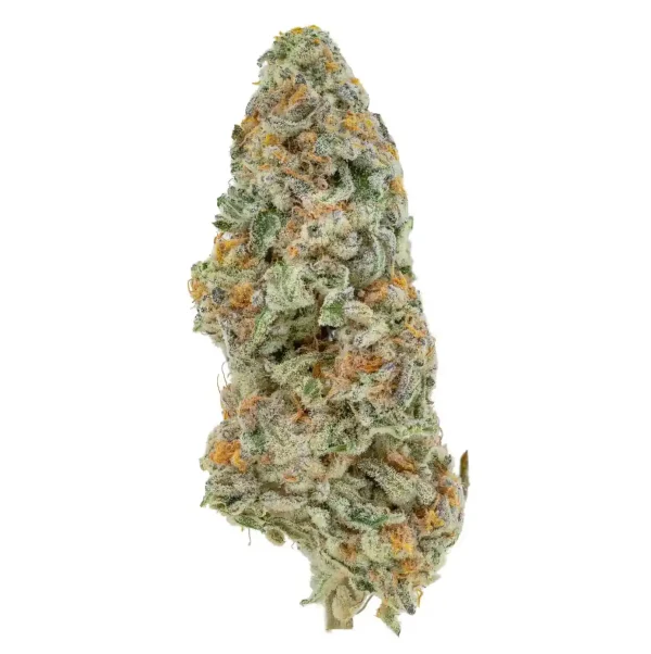 Durban Poison Sativa Bud