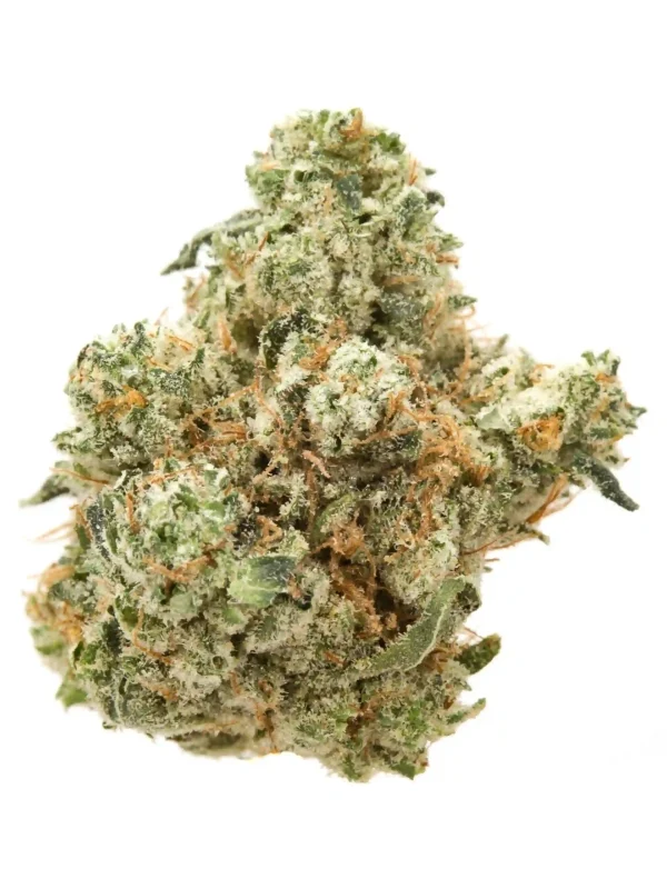 Chocolate Diesel