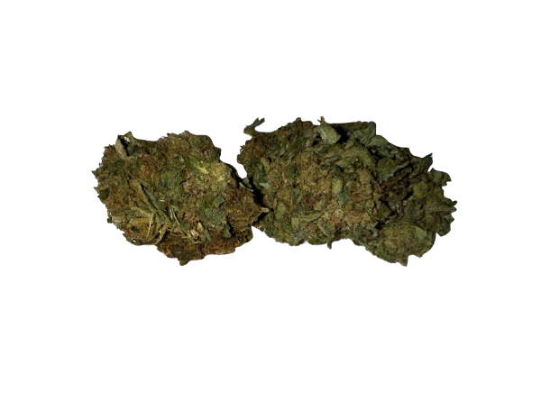 BLOW OUT SALE Critical Mass Hybrid 28G $39