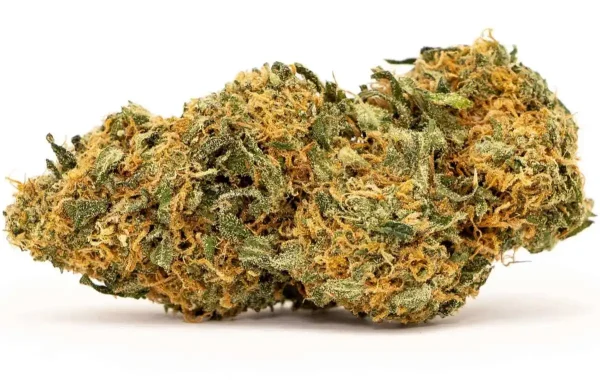 Mango Haze
